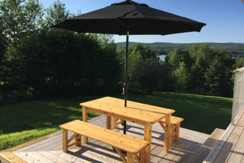 Table de pique-nique
